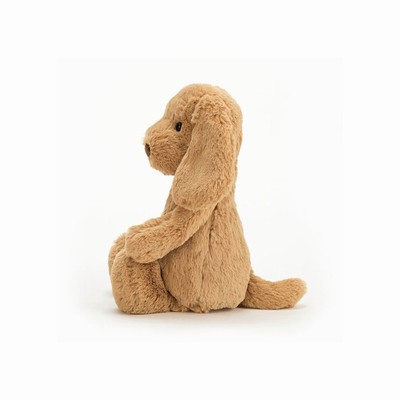 Jellycat Bashful Toffee Dog UK | 85134MEVS